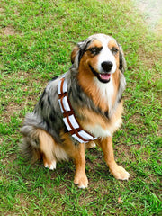 ComfyCamper adjustable strap ensures snug fit on dogs