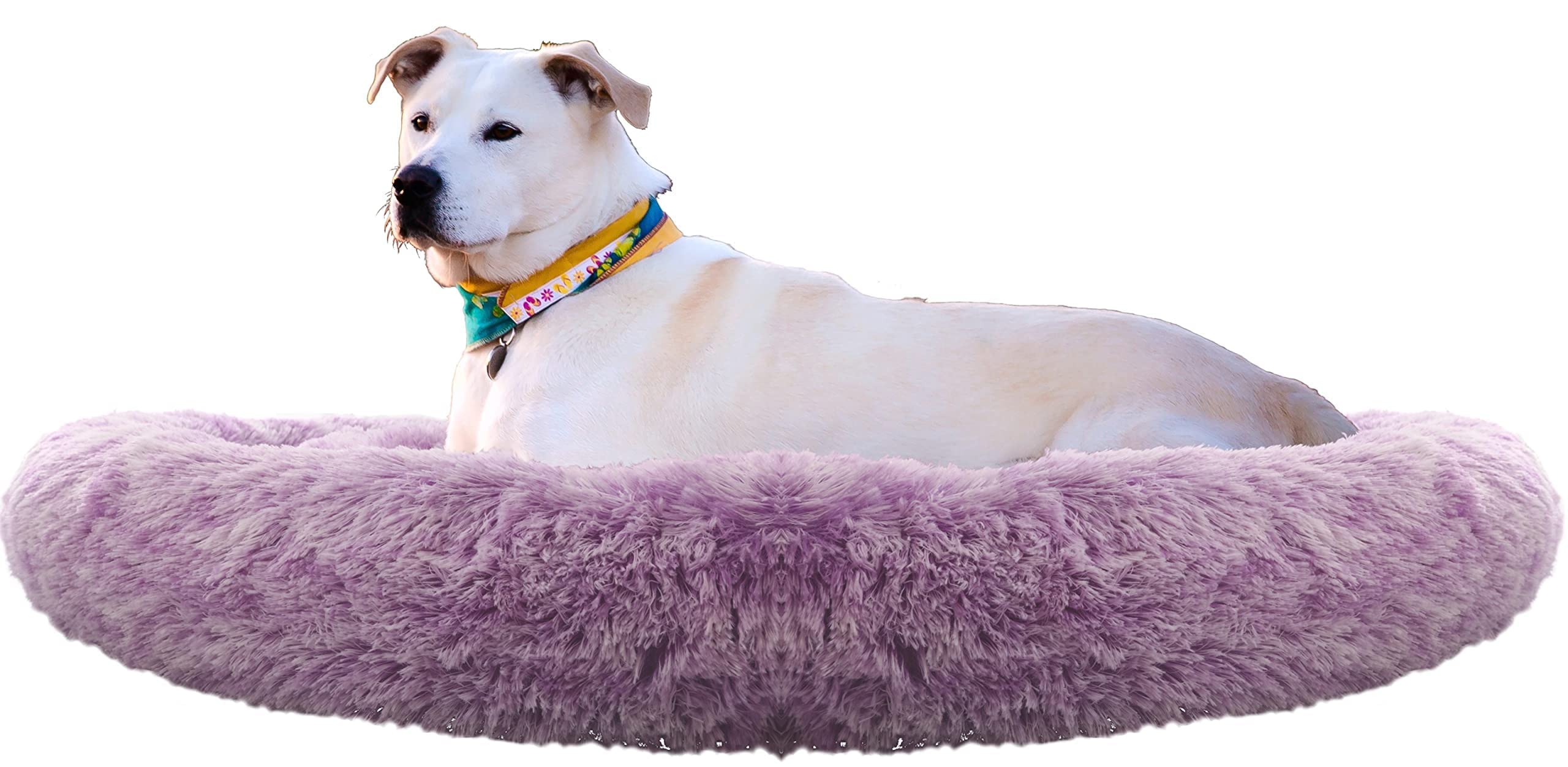 Comlax Calming Donut Bed 32-inch dimensions image highlights suitable pet space.
