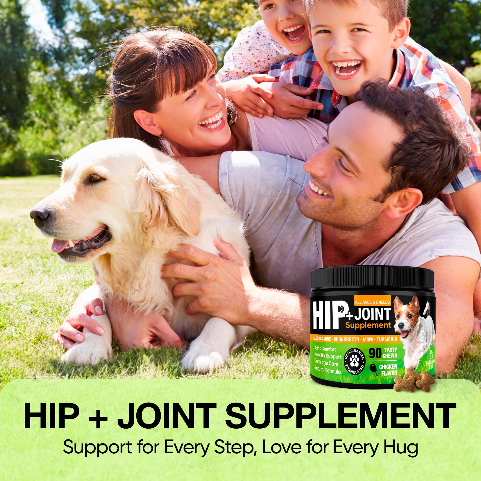 Commanding Life chicken-flavor dog chews enjoyably supports joint comfort during walks.