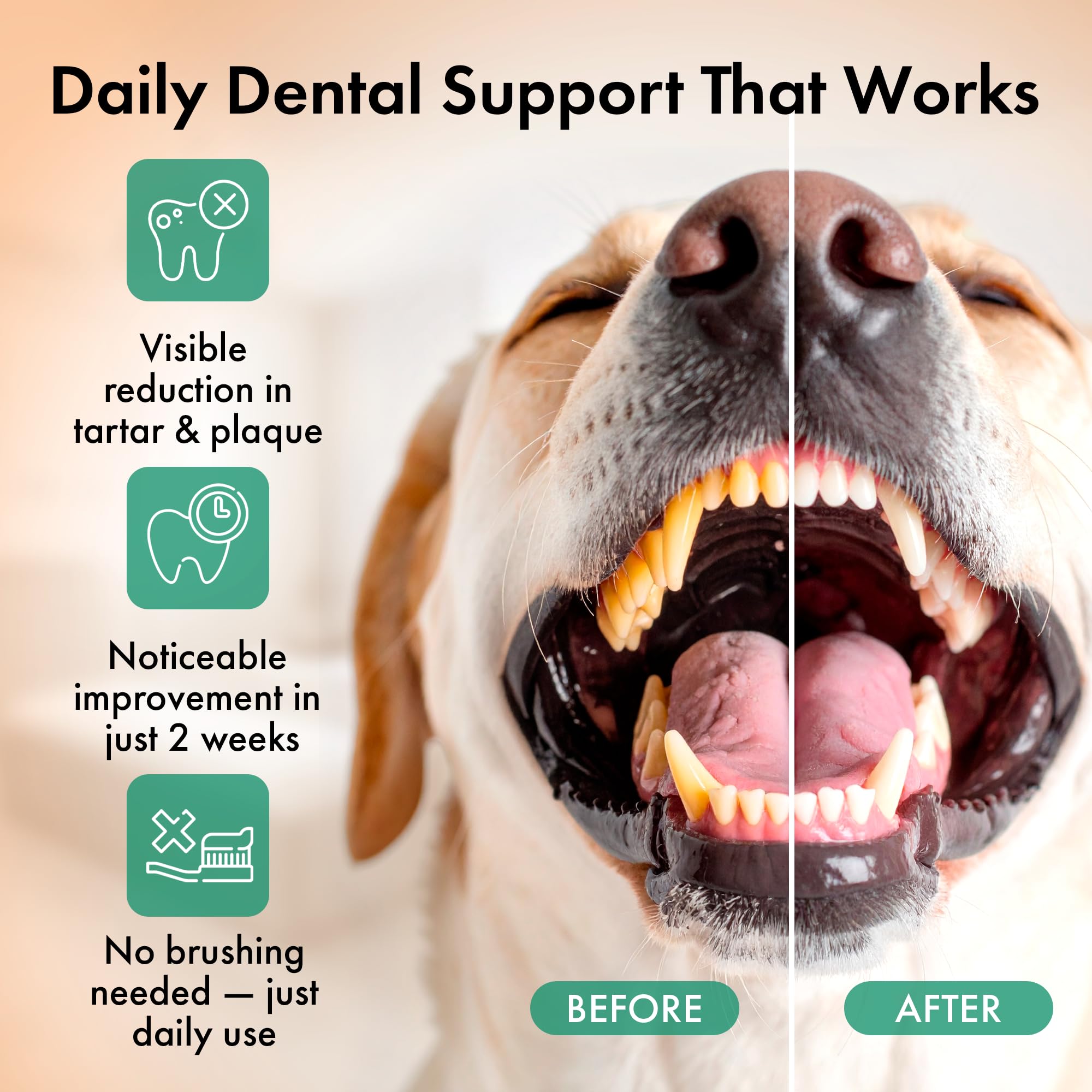 Happy dog showing clean teeth after using Commanding Life dental powder