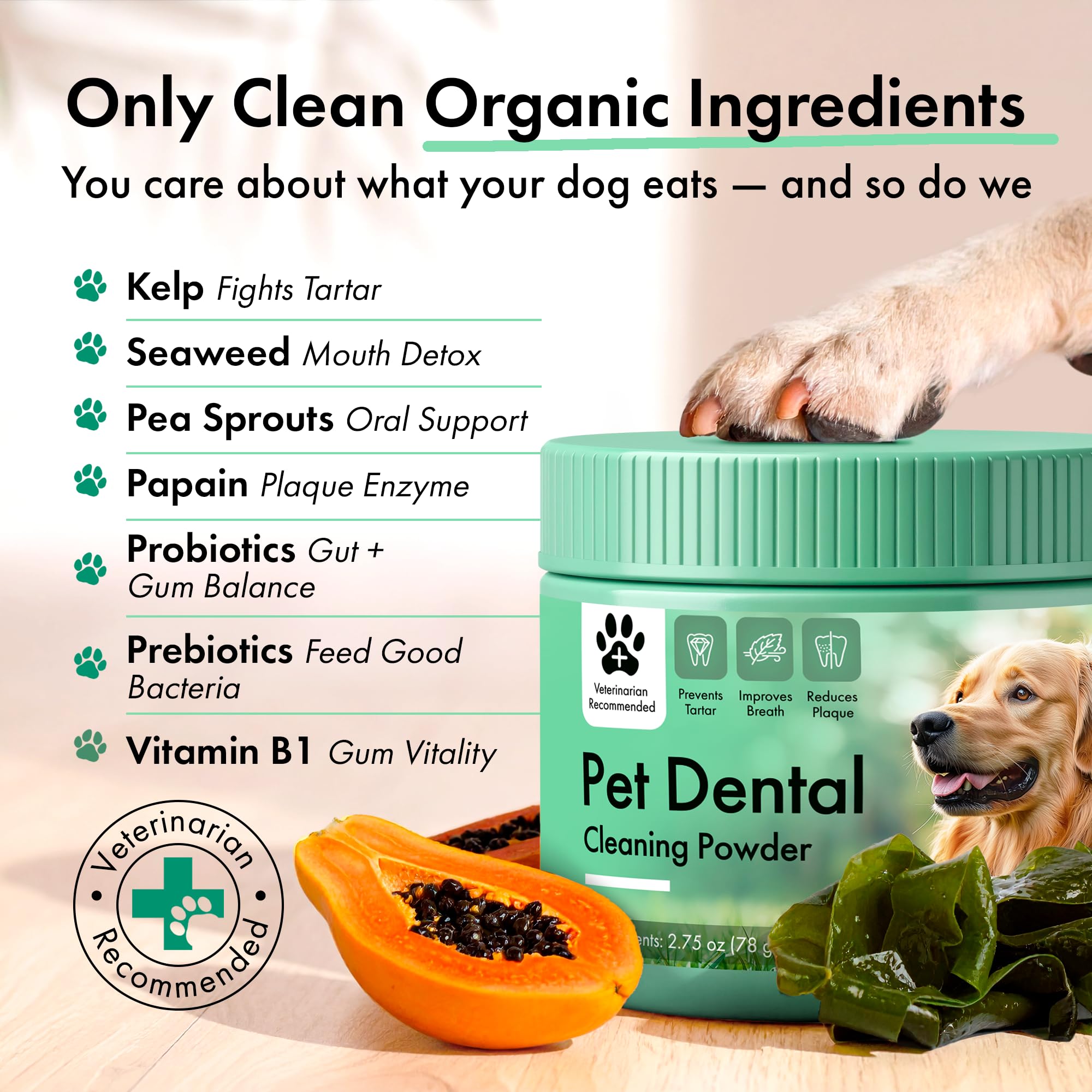 Dog dental powder mixed into water bowl for simple daily use