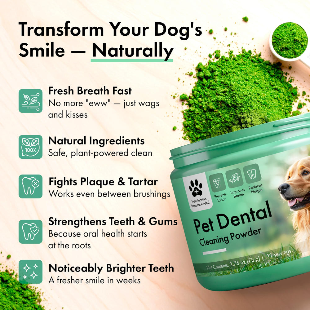 Spoon sprinkling Commanding Life dental powder onto kibble for easy administration