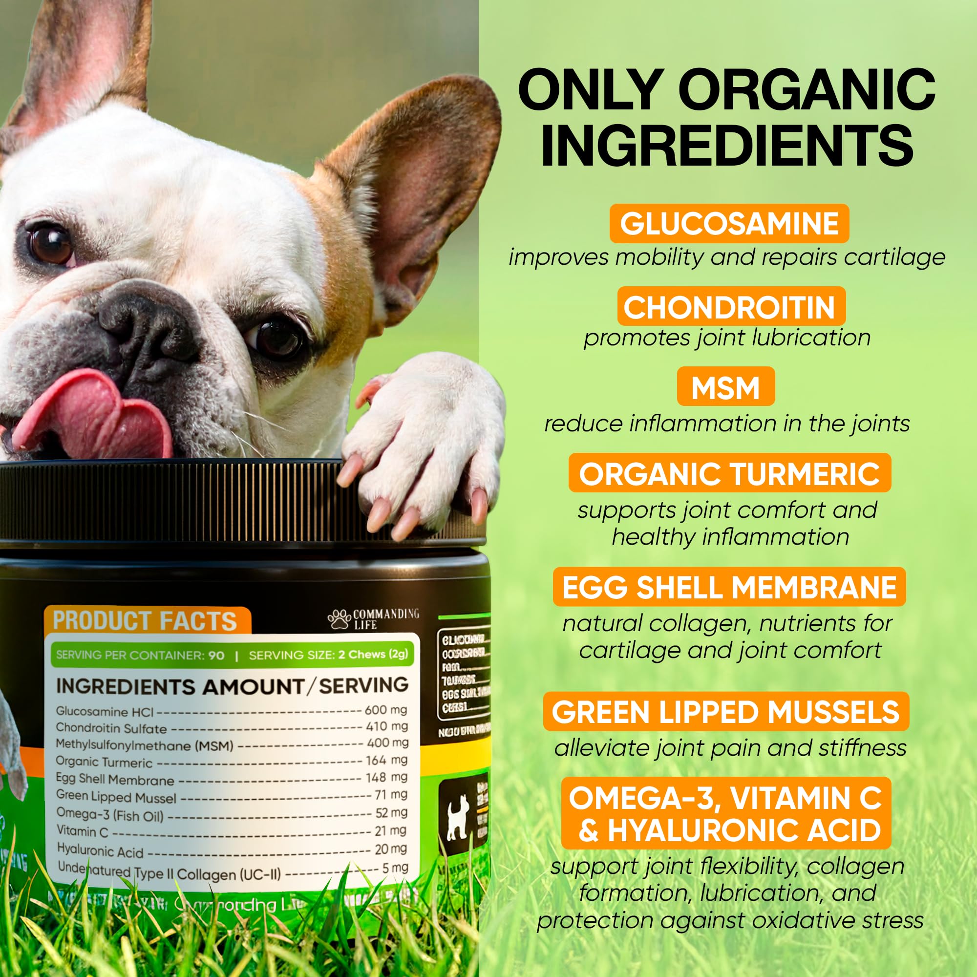 Commanding Life glucosamine chondroitin dog chews bottle promotes comprehensive joint support.