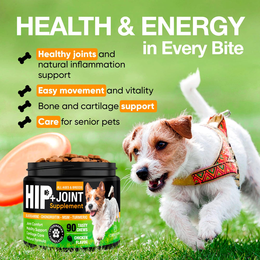 Commanding Life MSM turmeric dog joint supplement with omega-3 supports flexible movement.