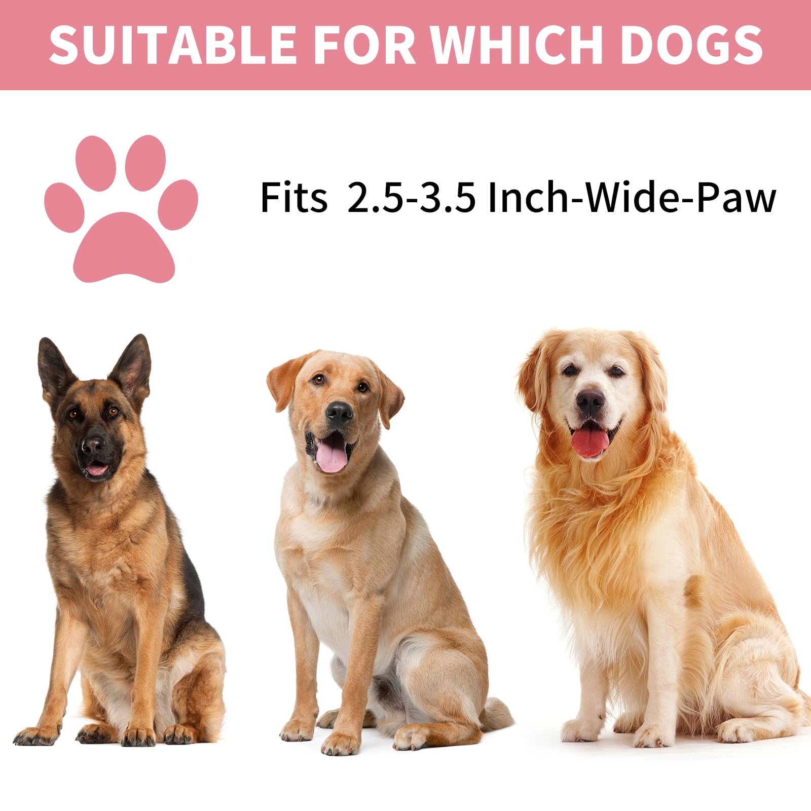 Comotech paw cleaner gift pack for pet owners.