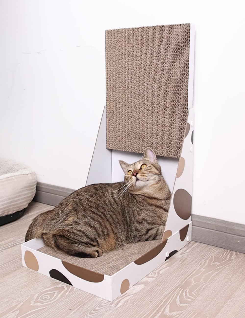 ComSaf Cat Scratcher Indoor Use Setup – ideal for apartments and condos