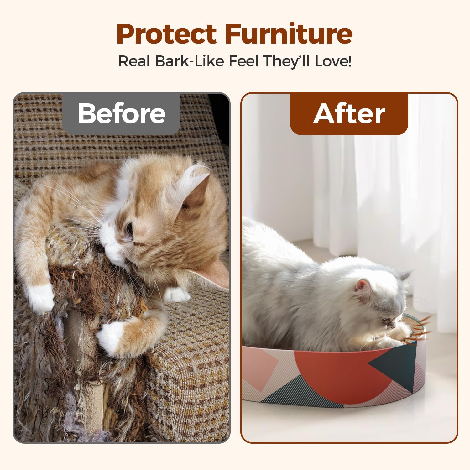 ComSaf indoor-use image shows cats using it as a bed and scratcher inside