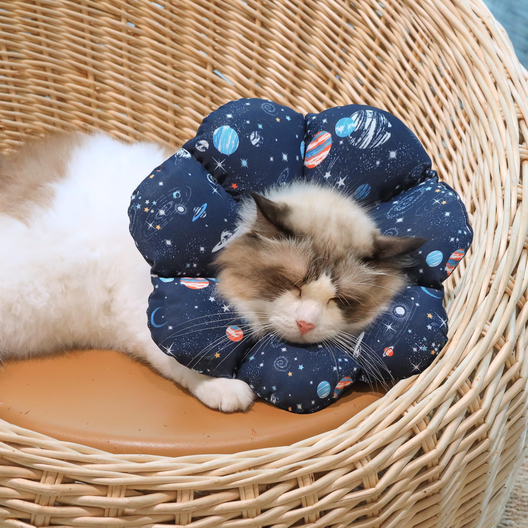 ComSaf versatile recovery collar suitable for post-surgery, grooming, and rash protection.