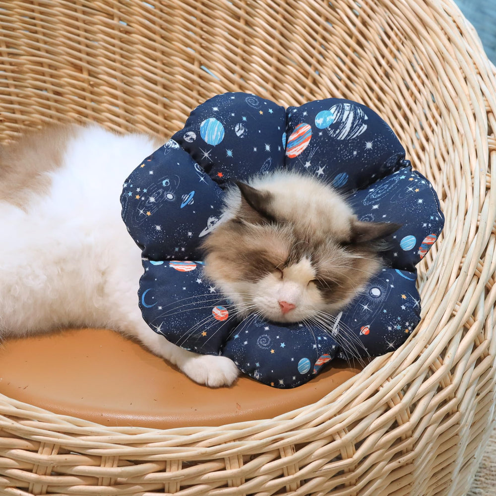 ComSaf versatile recovery collar suitable for post-surgery, grooming, and rash protection.