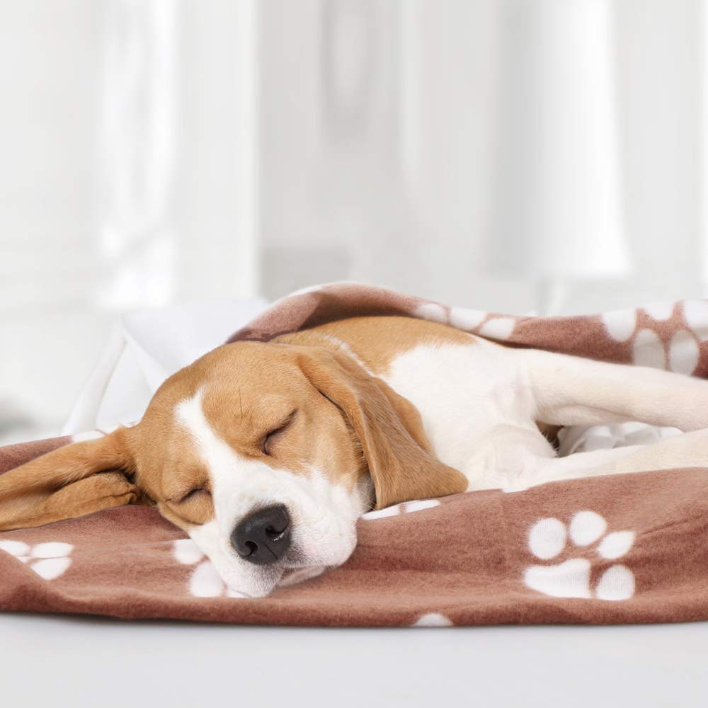 Comsmart brown 39x31 blanket fits small dogs and cats as bedding