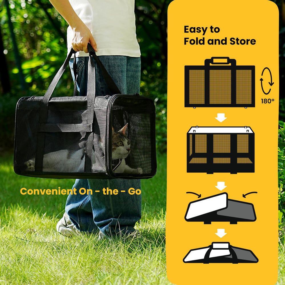 Conlun carrier with luggage strap enables easy car and hotel trips