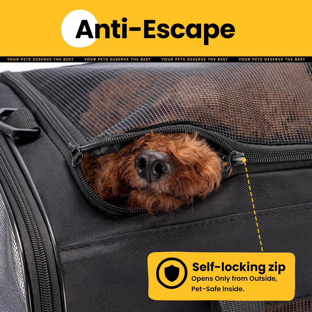 Conlun carrier with shoulder strap demonstrates comfortable hands-free carrying during travel