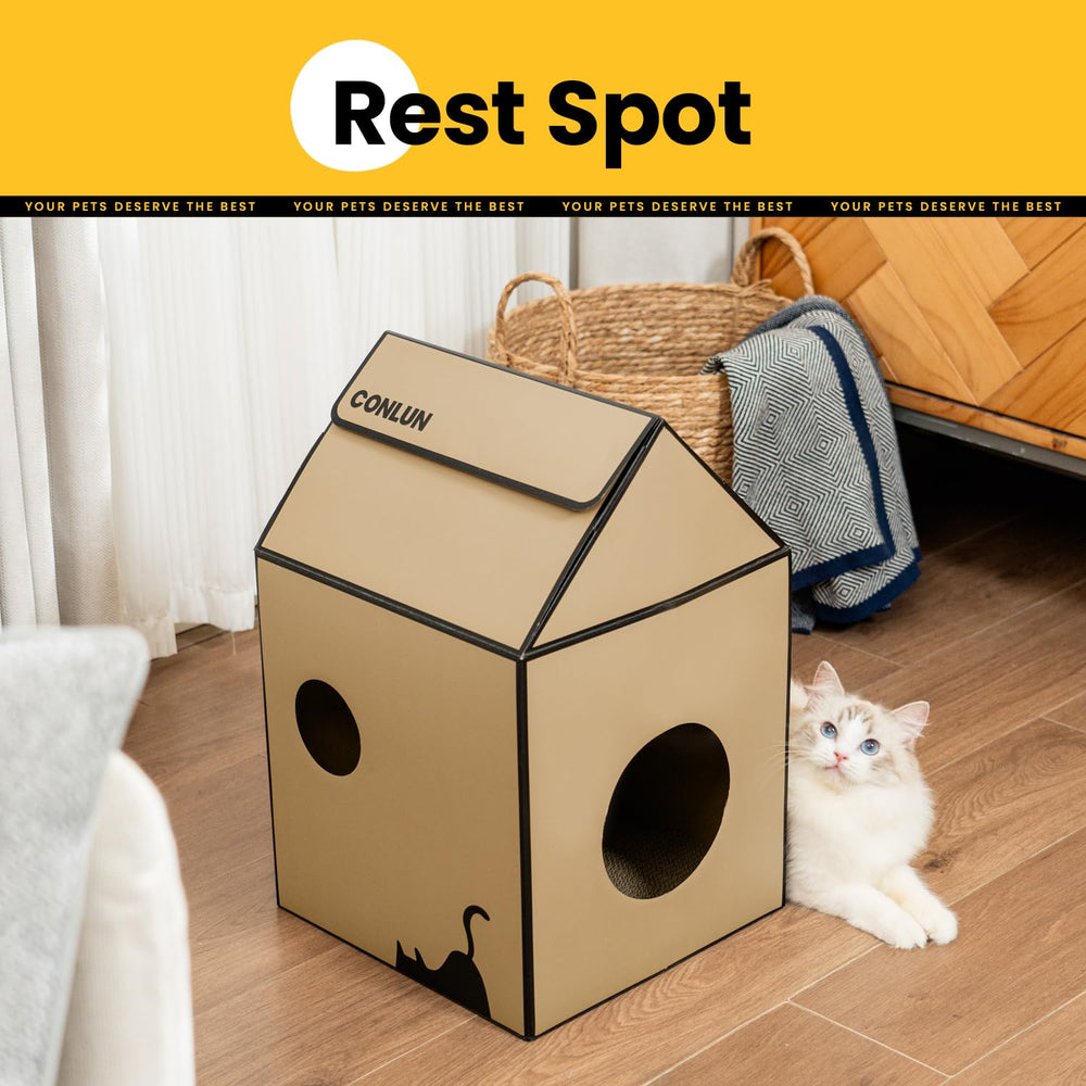 Conlun casa-gato-carton-con-catnip, activa juego y curiosidad del minino
