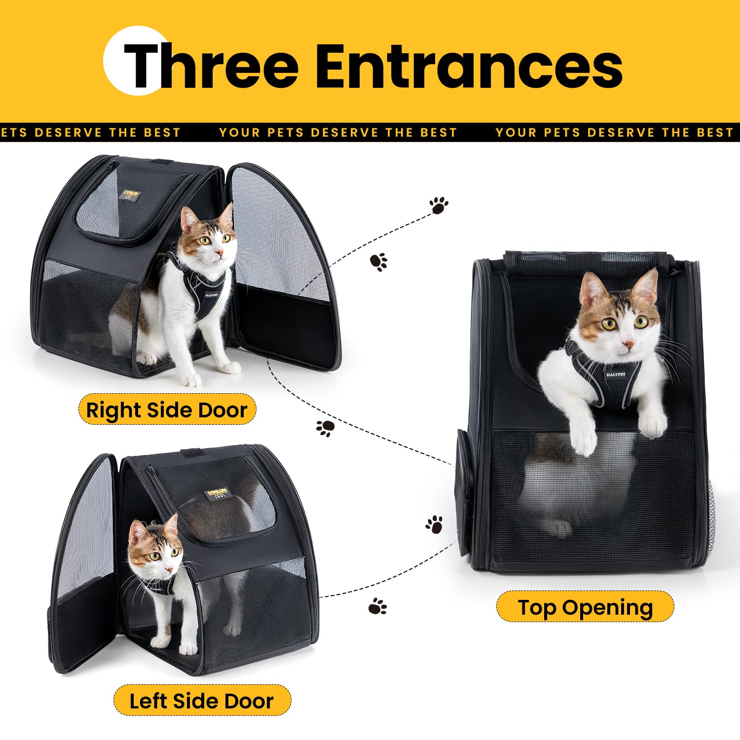 Conlun cat backpack ergonomic shoulder straps distribute weight for comfortable wear.