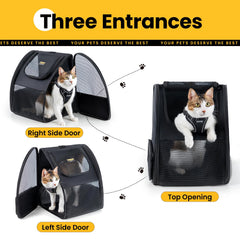 Conlun cat backpack ergonomic shoulder straps distribute weight for comfortable wear.