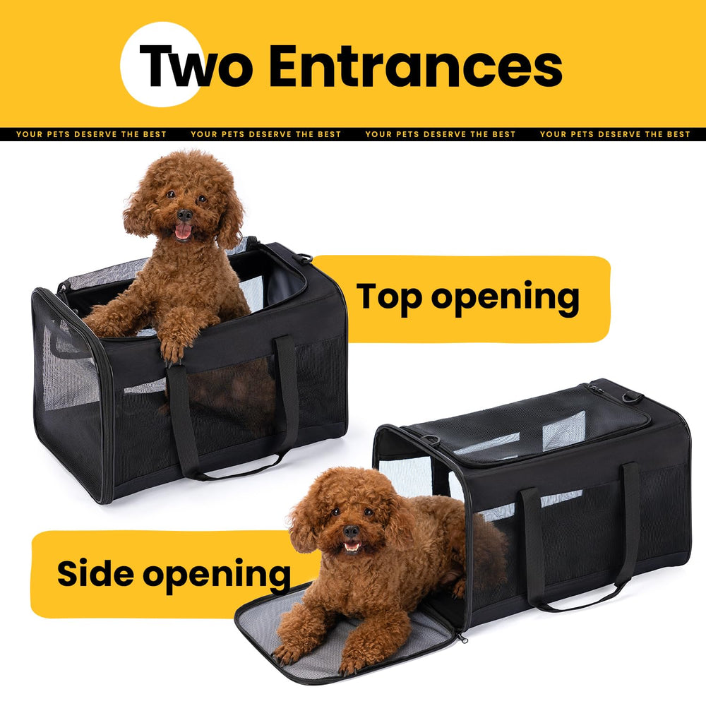Conlun cat carrier outer view highlights sturdy frame for secure travel use