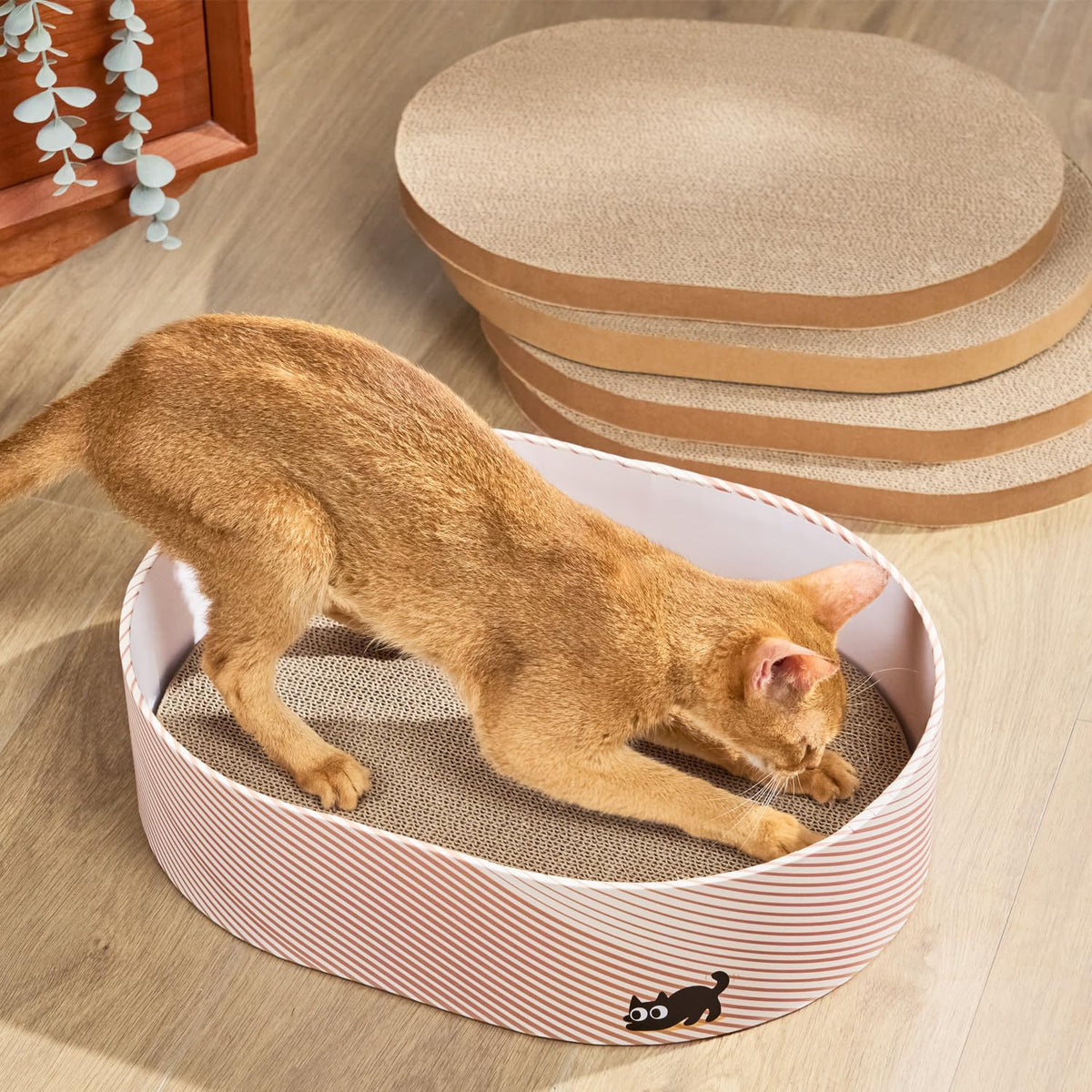 Conlun cat-scratcher-box-front-view reveals durable cardboard for long-lasting scratching.