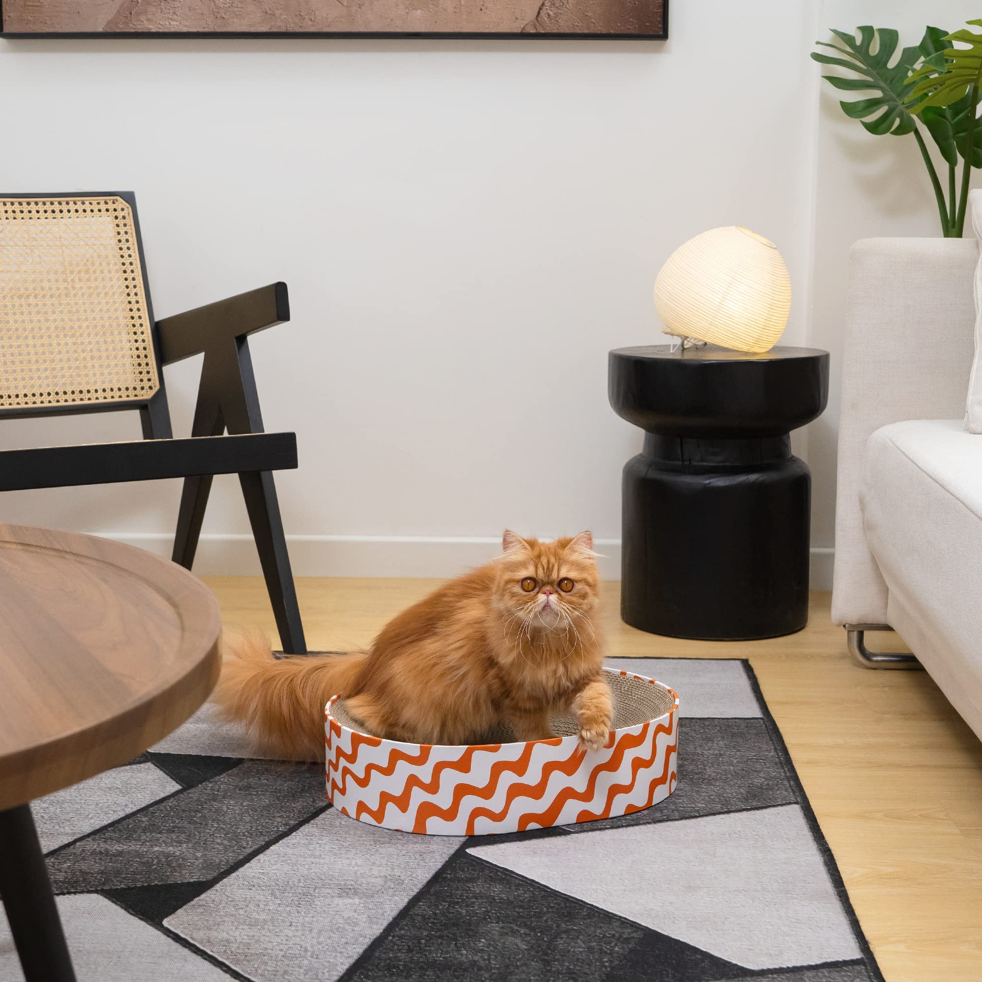 Conlun dimensions in compact size fit small rooms.