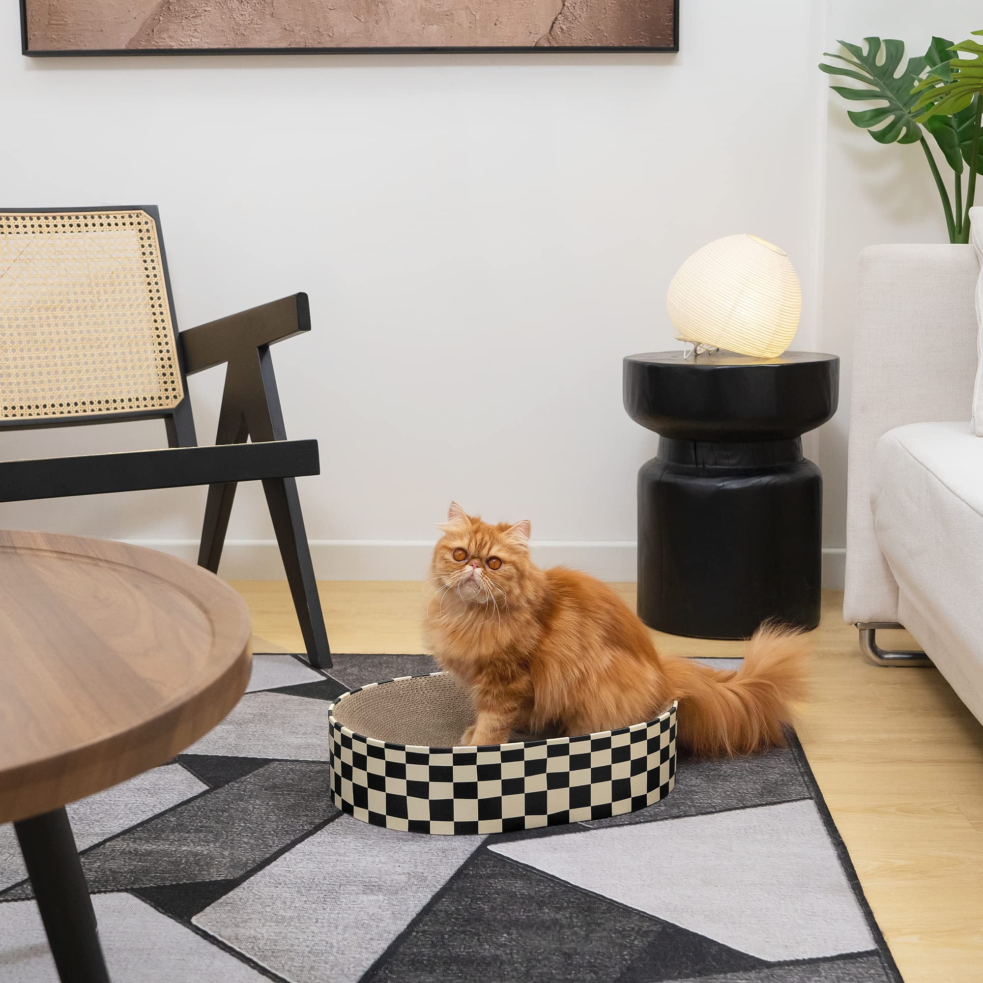 Conlun gift-ready design doubles as a festive cat toy and decor piece.