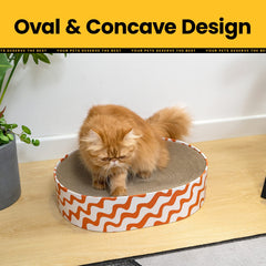 Conlun 2-in-1 lounge bed demonstrates cat resting after scratch.