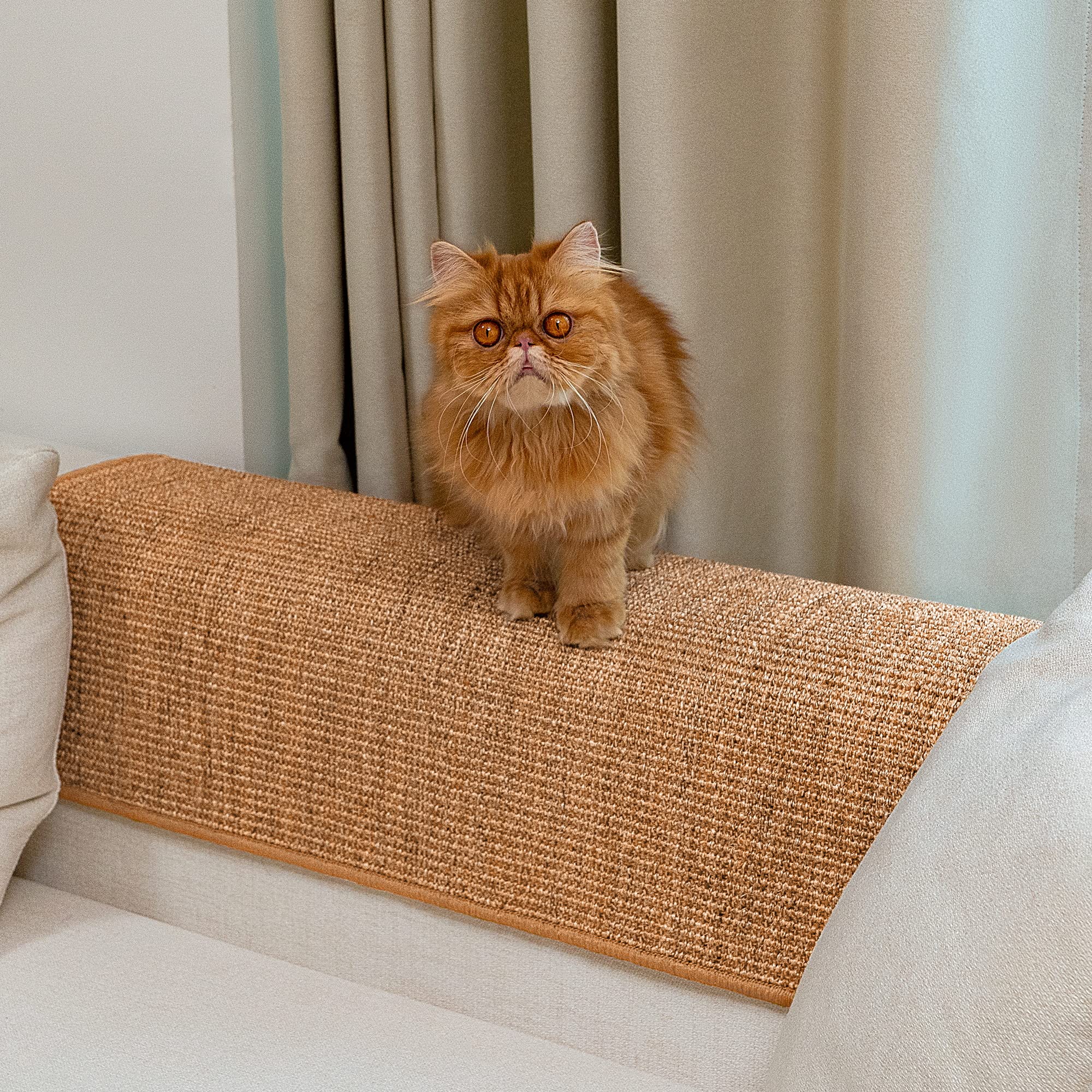 Conlun Cat Scratcher Mat comes in two sizes, large at 60x80 cm.