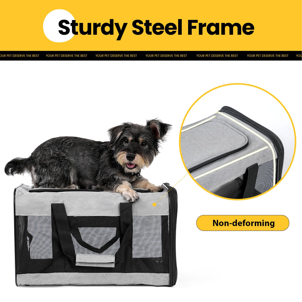 Conlun inner safety leash use example shows added pet security during transport