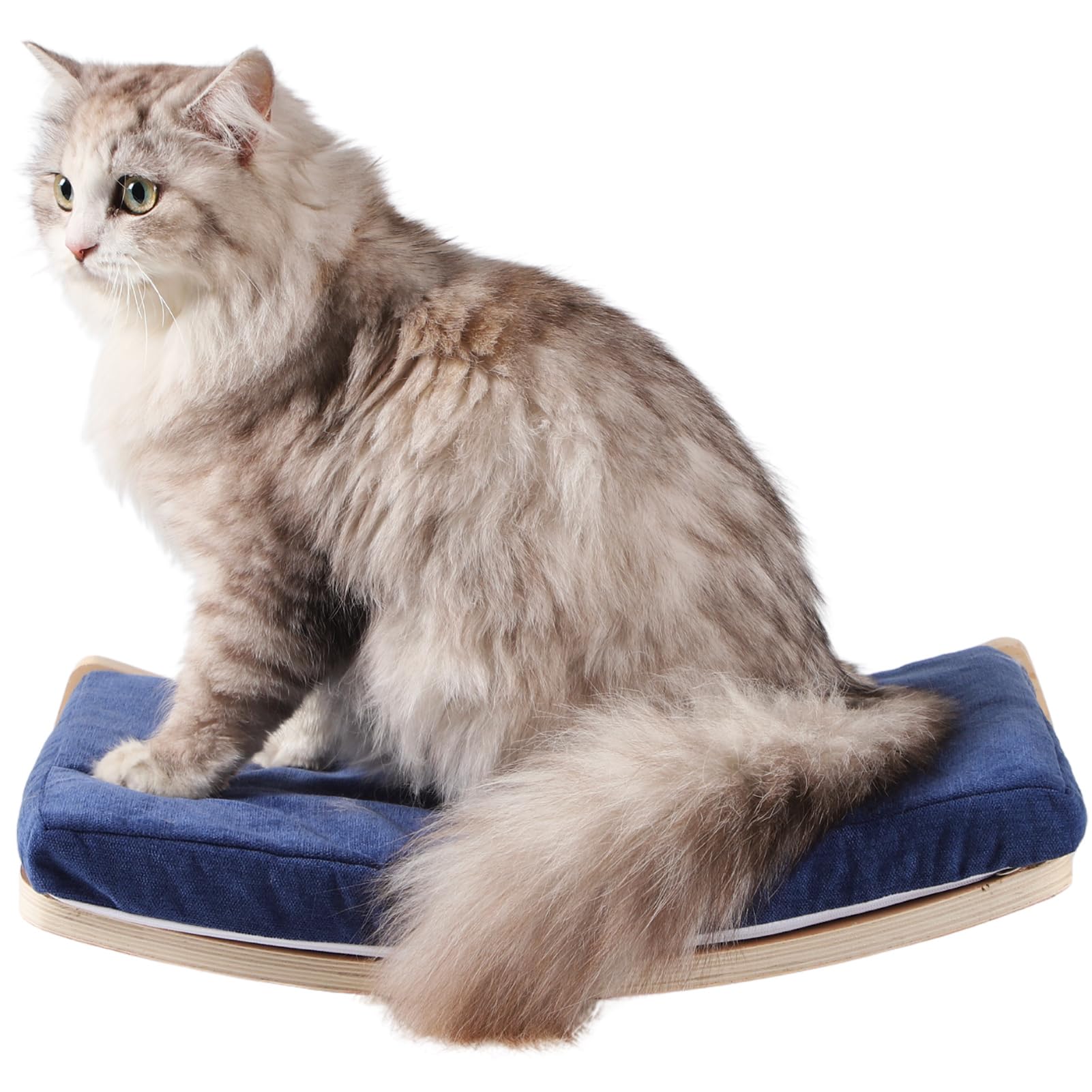 COOLEX wall-mounted shelves invite cats to observe surroundings and stay active.