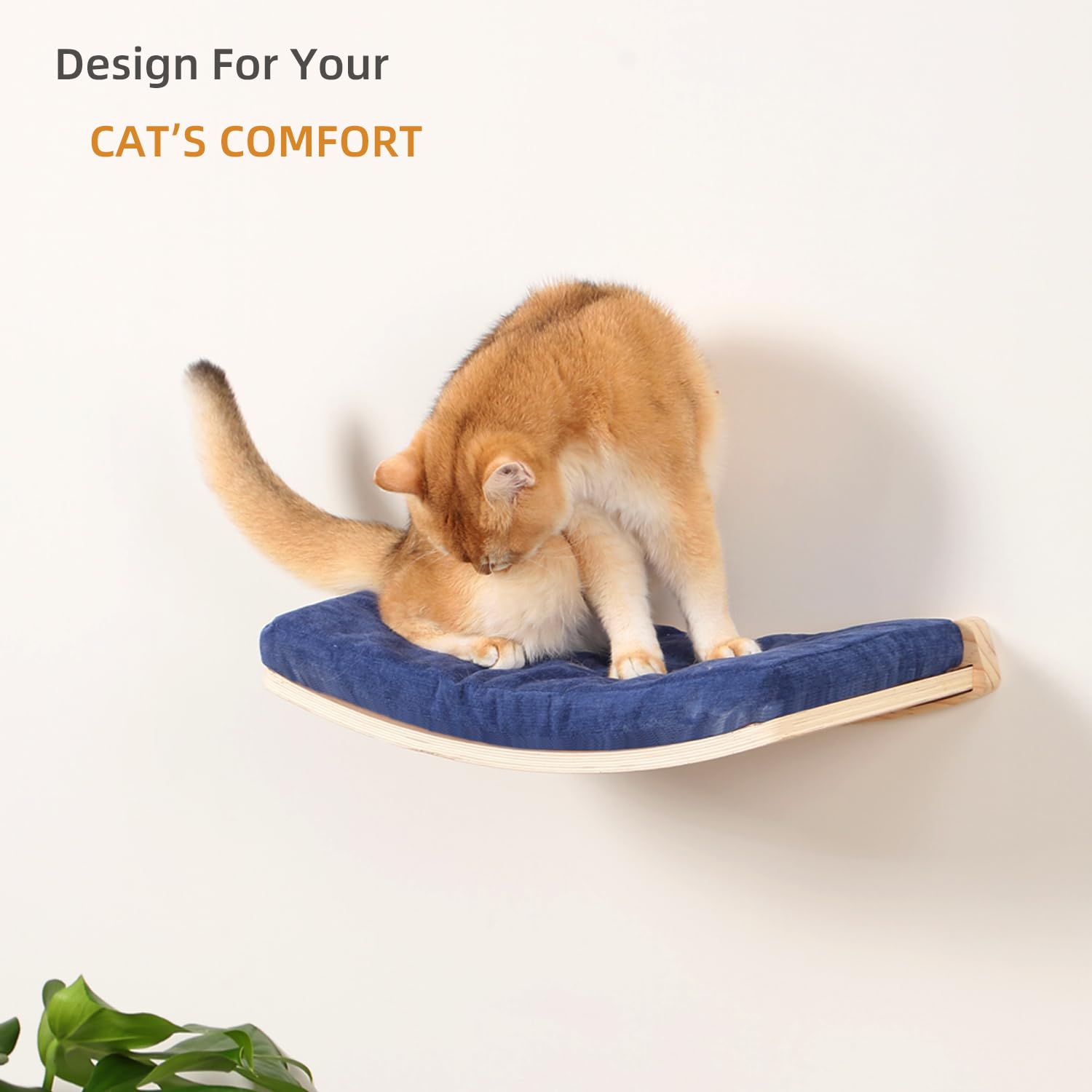 COOLEX supports up to 30 pounds with durable wood design.