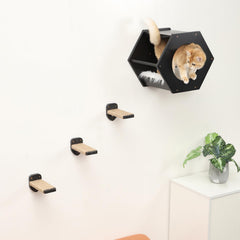 COOLEX cat shelf with 3-step ladder emphasizes indoor climbing fun and exercise