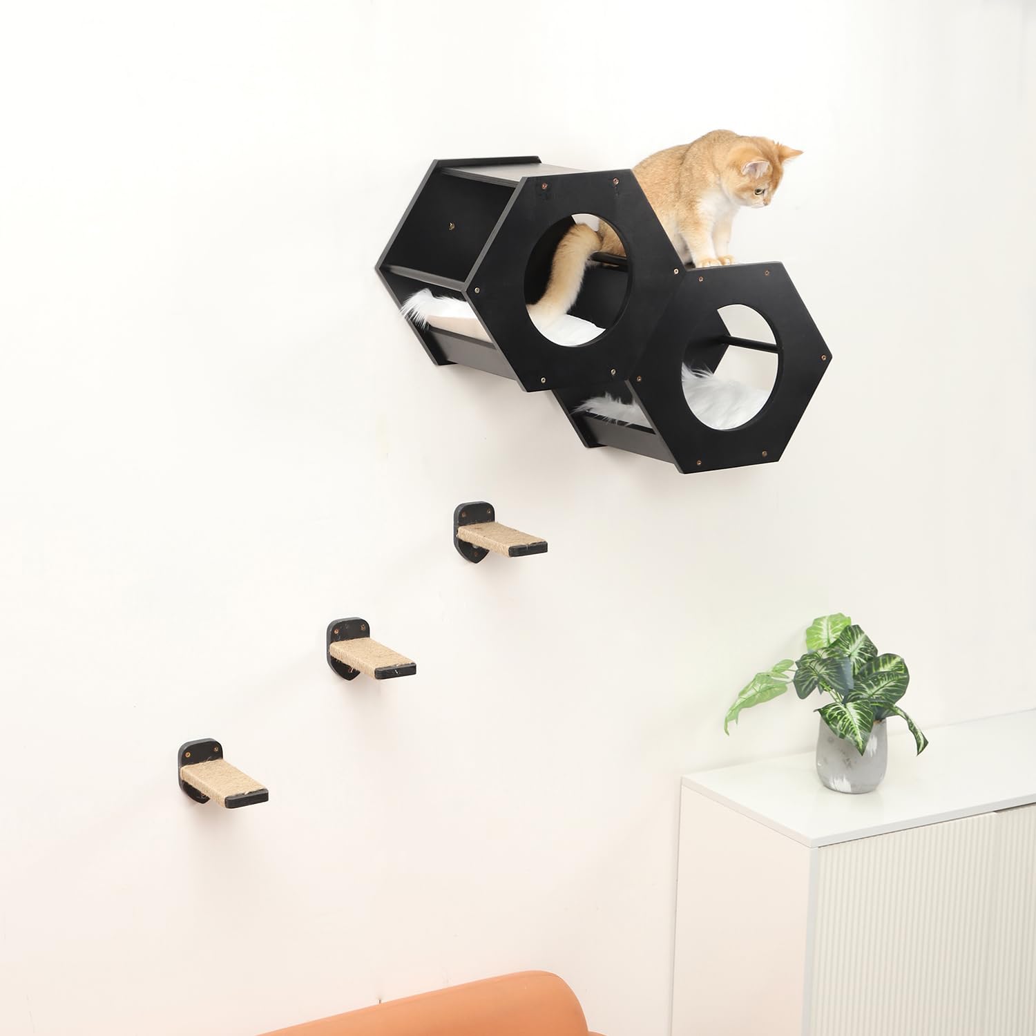 COOLEX shelf includes three ladders to support climbing and exploration