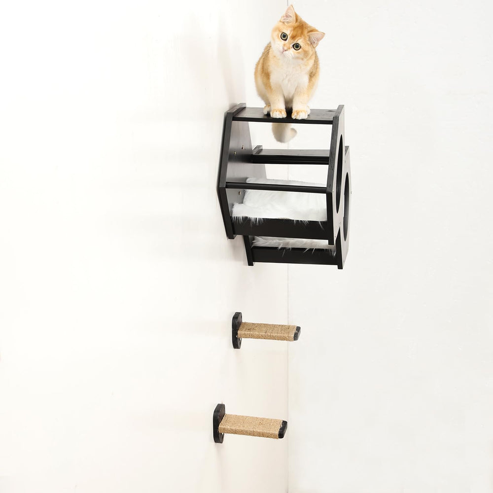 COOLEX cat shelf features large base for lounging and privacy