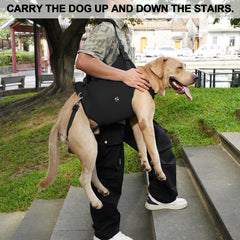 Coodeo breathable material detail keeps dog comfortable during wear.
