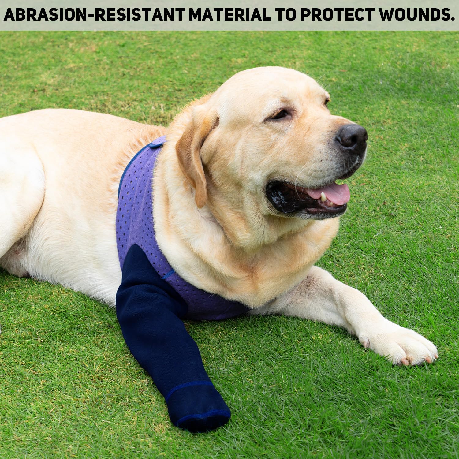 Coodeo reliable protection with quick resolution if damage occurs within 2 days.