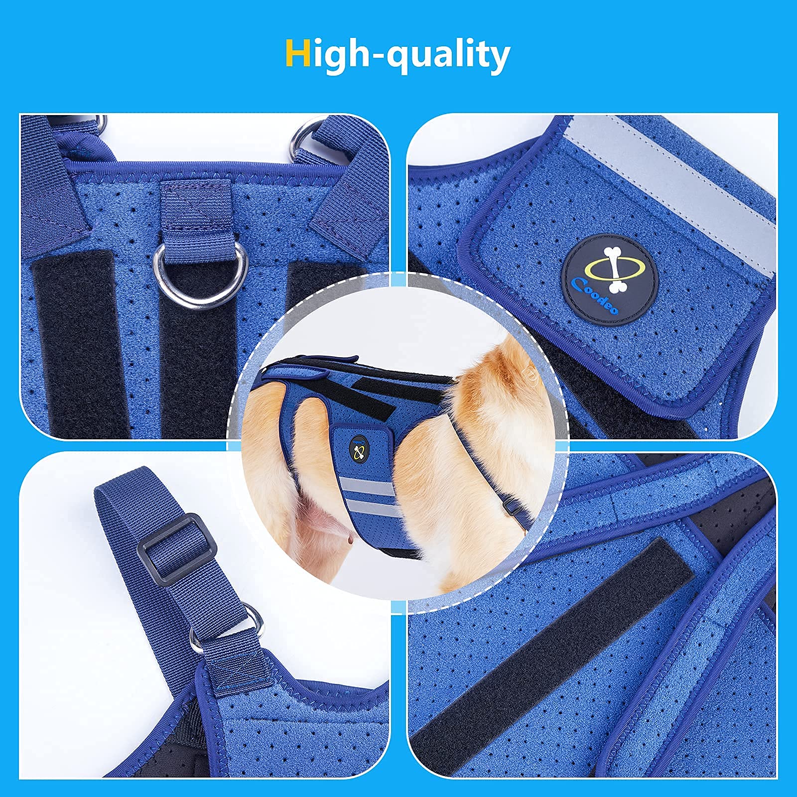 Coodeo back brace sizing guide helps ensure proper fit for XL dogs