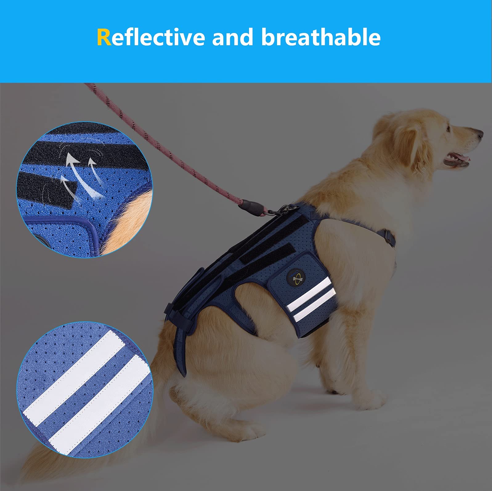 Coodeo dog back brace breathable perforated materials keep dogs cool