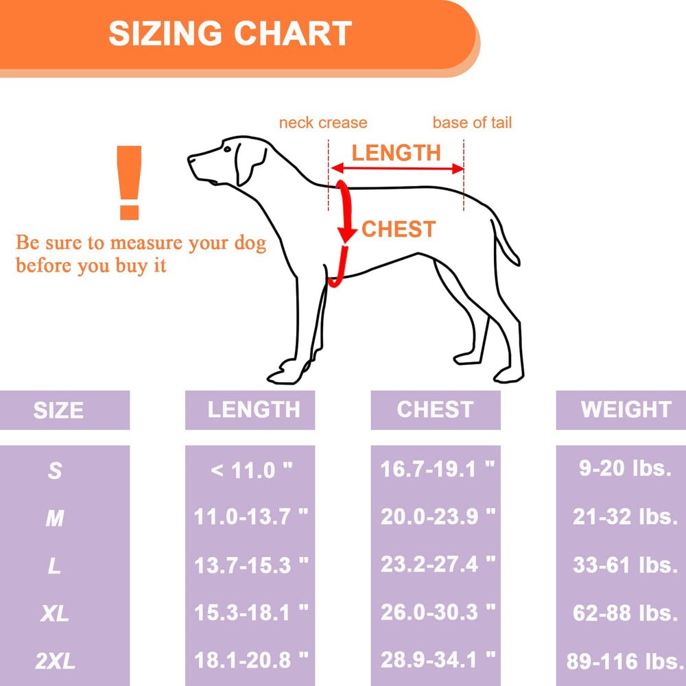 Coodeo dog back brace includes reflective strips for night safety