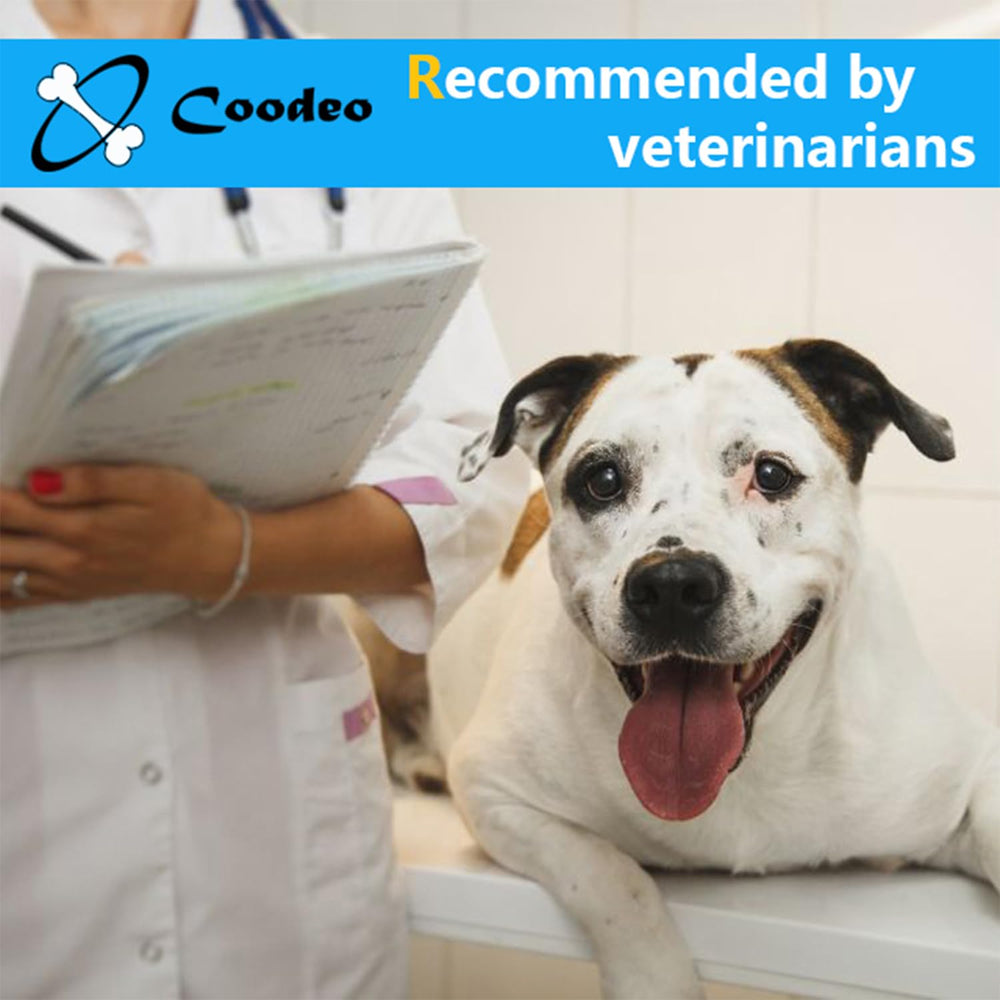 Coodeo dog back brace aids surgical recovery during post-op rehab