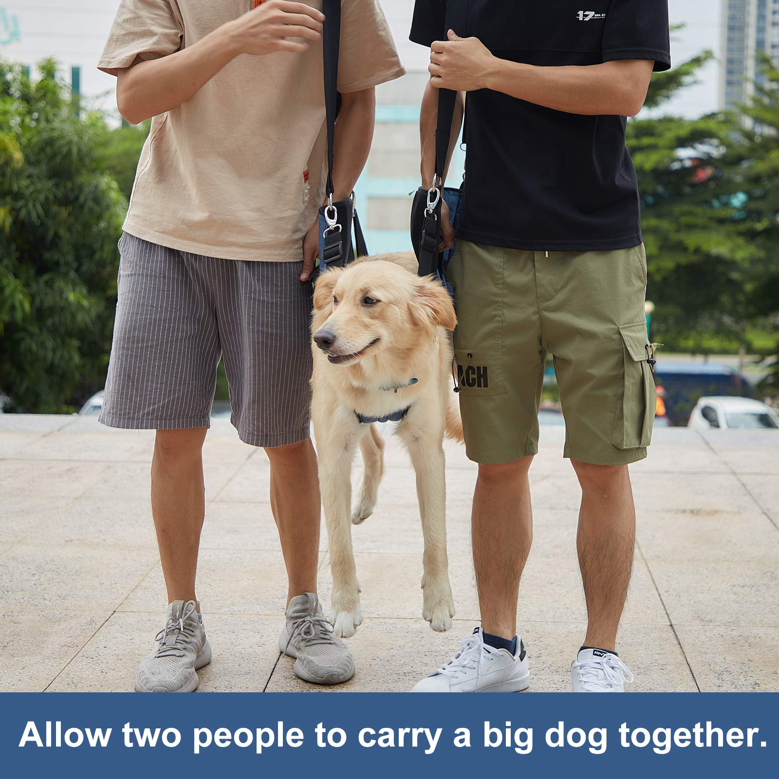 COODEO Dog Carry Sling car-transfer blue enables quick positioning.