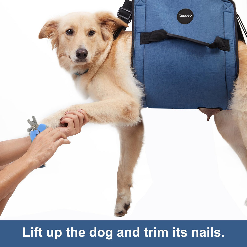 COODEO Dog Carry Sling durable materials closeup blue highlights quality.