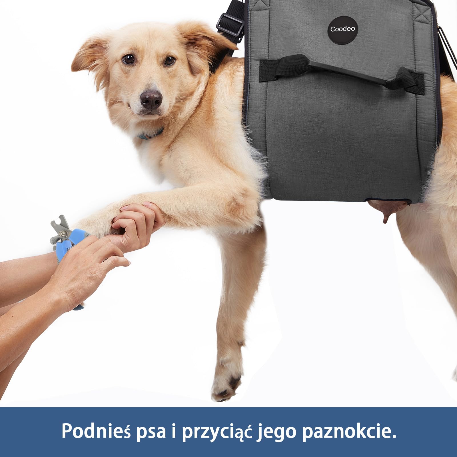 COODEO dog carry sling emergency backpack design enables quick transport