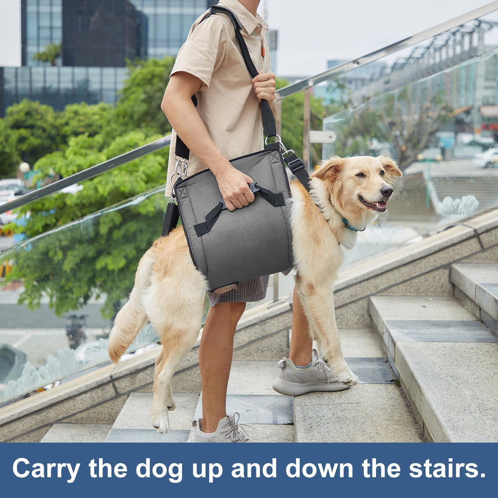 Coodeo dog carry sling nail-trim use demonstrates easy handling during grooming