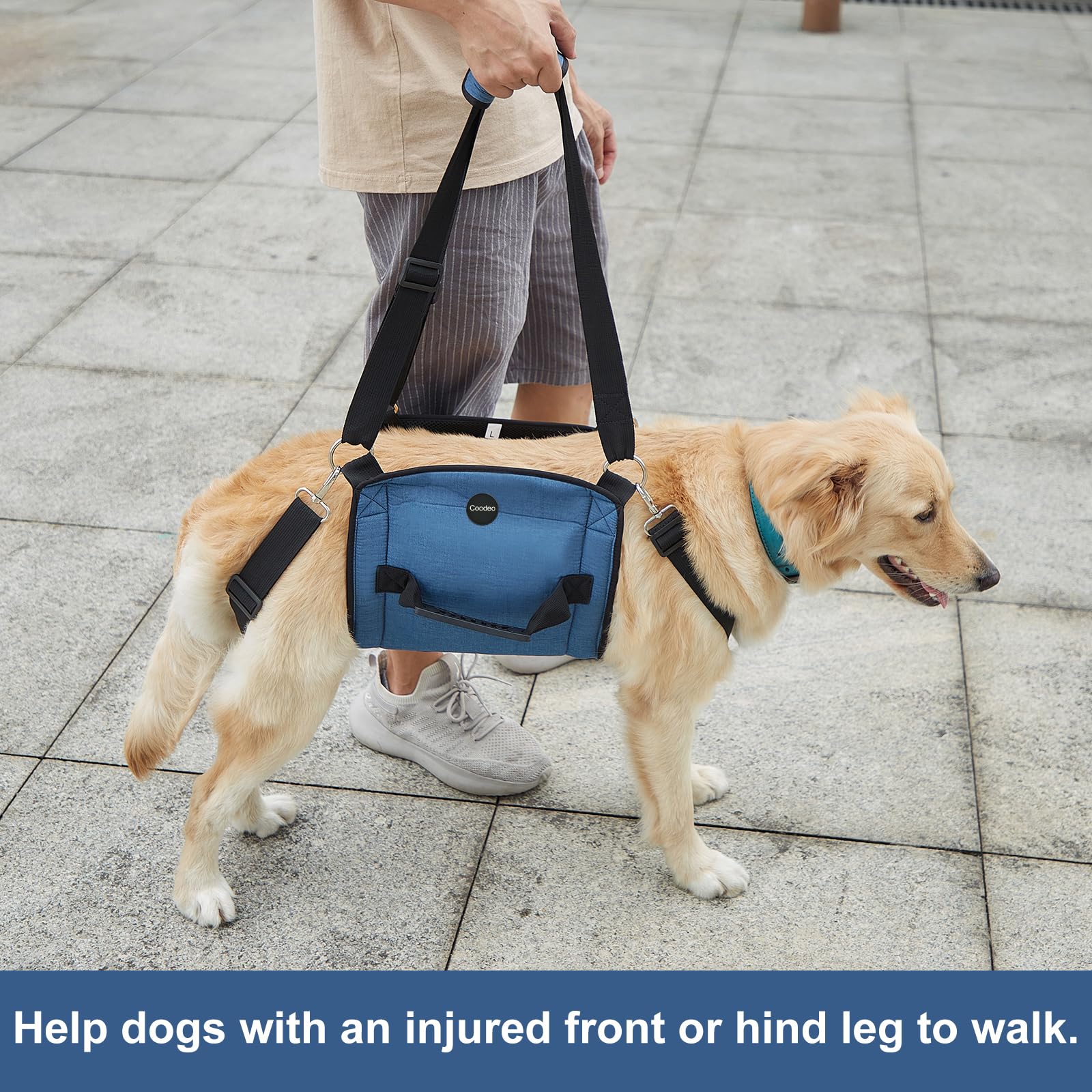 COODEO Dog Carry Sling stair-use blue aids climbs and transitions.