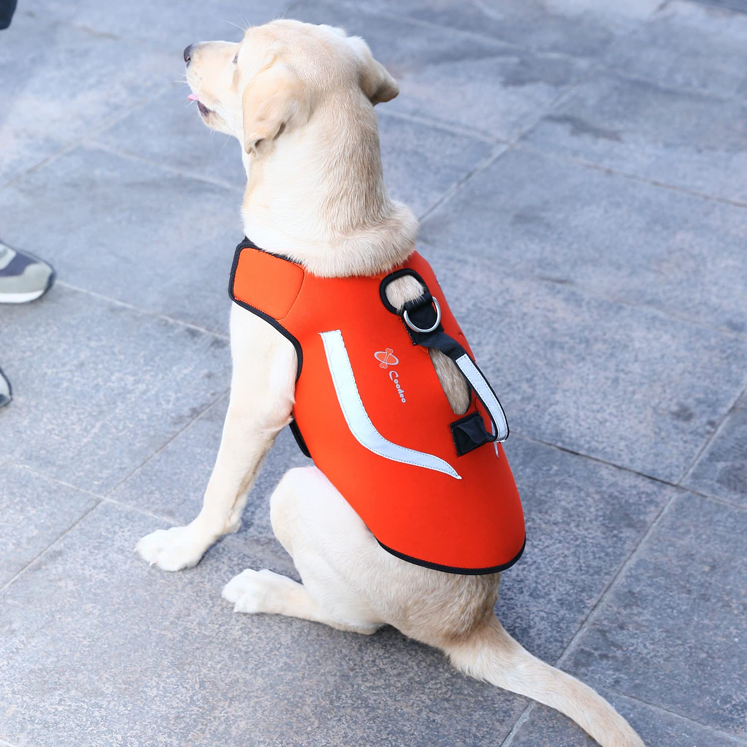 Coodeo dog hunting vest durability and long lasting performance.
