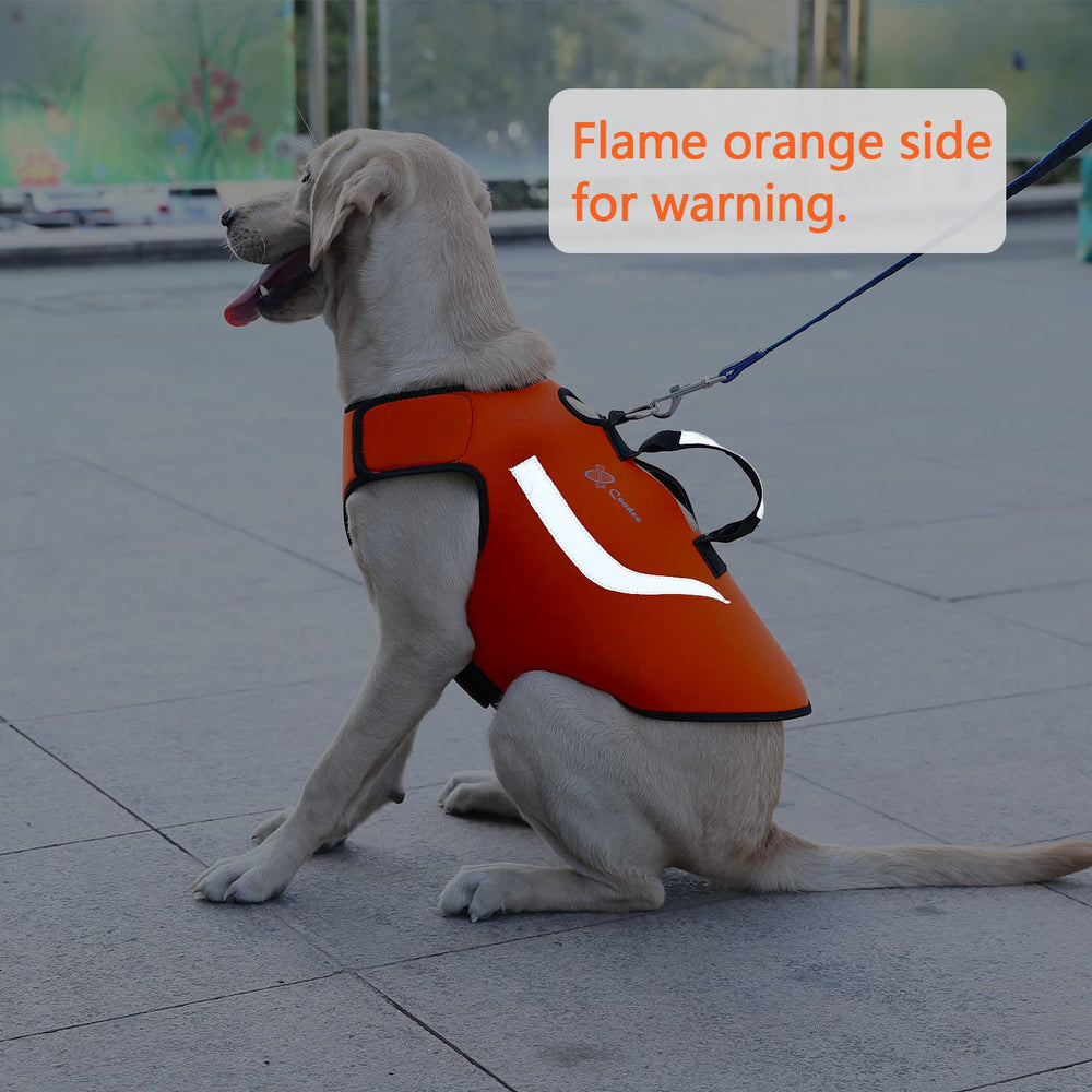 Coodeo dog hunting vest top handle and iron ring for easy control.