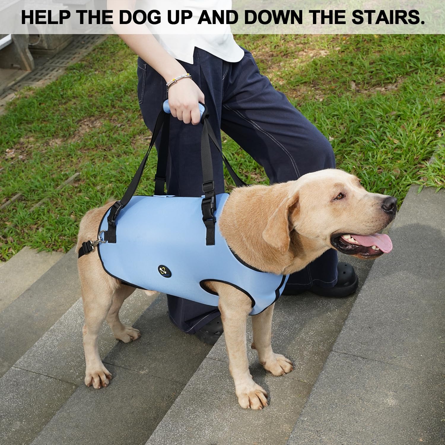 Coodeo dog lift harness adjustable strap allows a snug, stable fit.