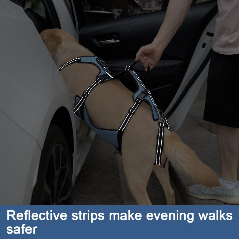 Coodeo Dog Lift Harness adjustable-straps illustrate a customizable fit.