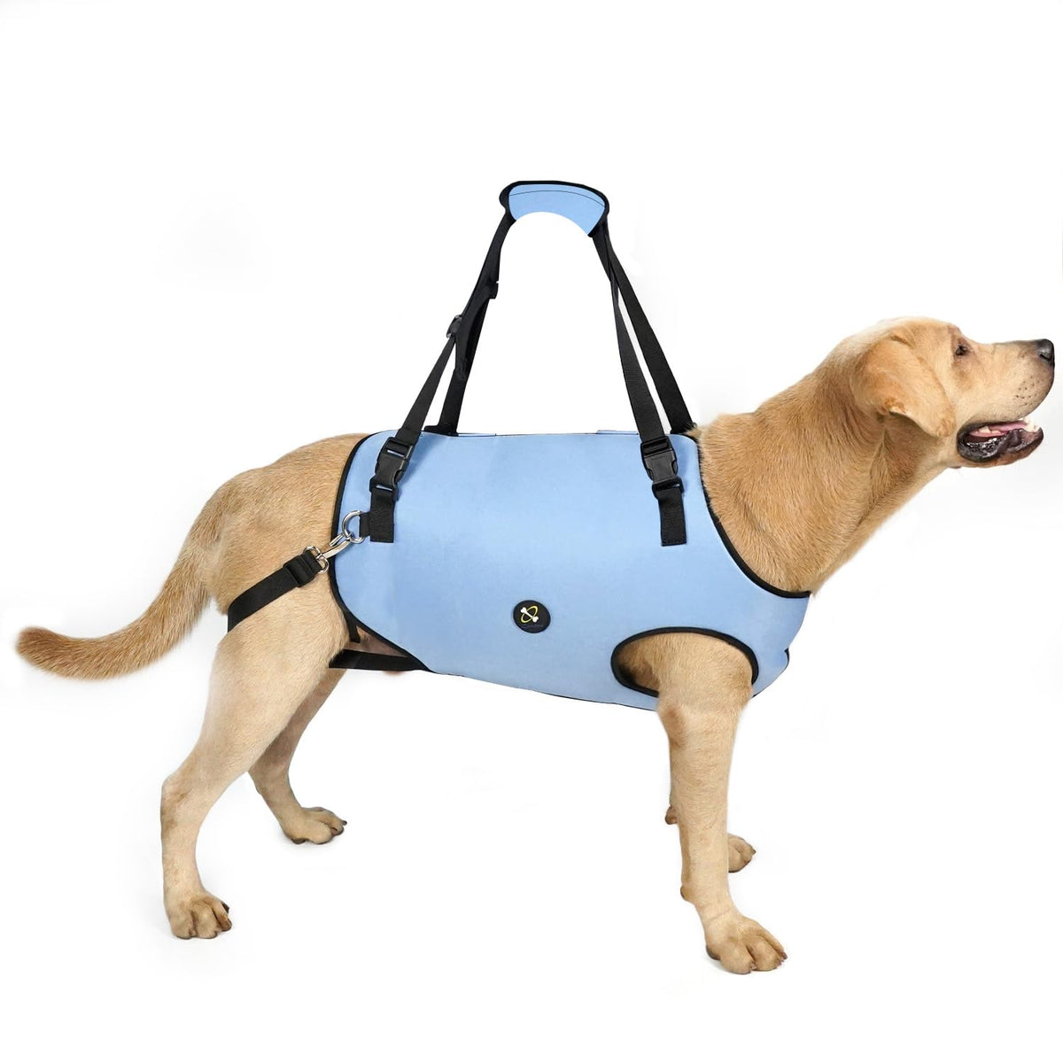 Coodeo dog lift harness blue front view with adjustable padded straps for comfort and mobility