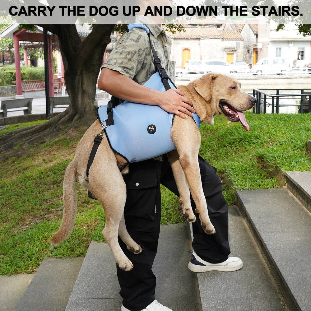 Coodeo dog lift harness adjustable-belt detail shows easy sizing for dogs of various builds