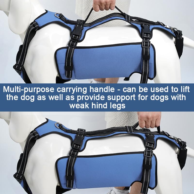 Coodeo Dog Lift Harness breathable-materials emphasize comfortable all-day wear.
