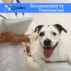 Coodeo dog lift harness breathable padding comforts dogs during wear.